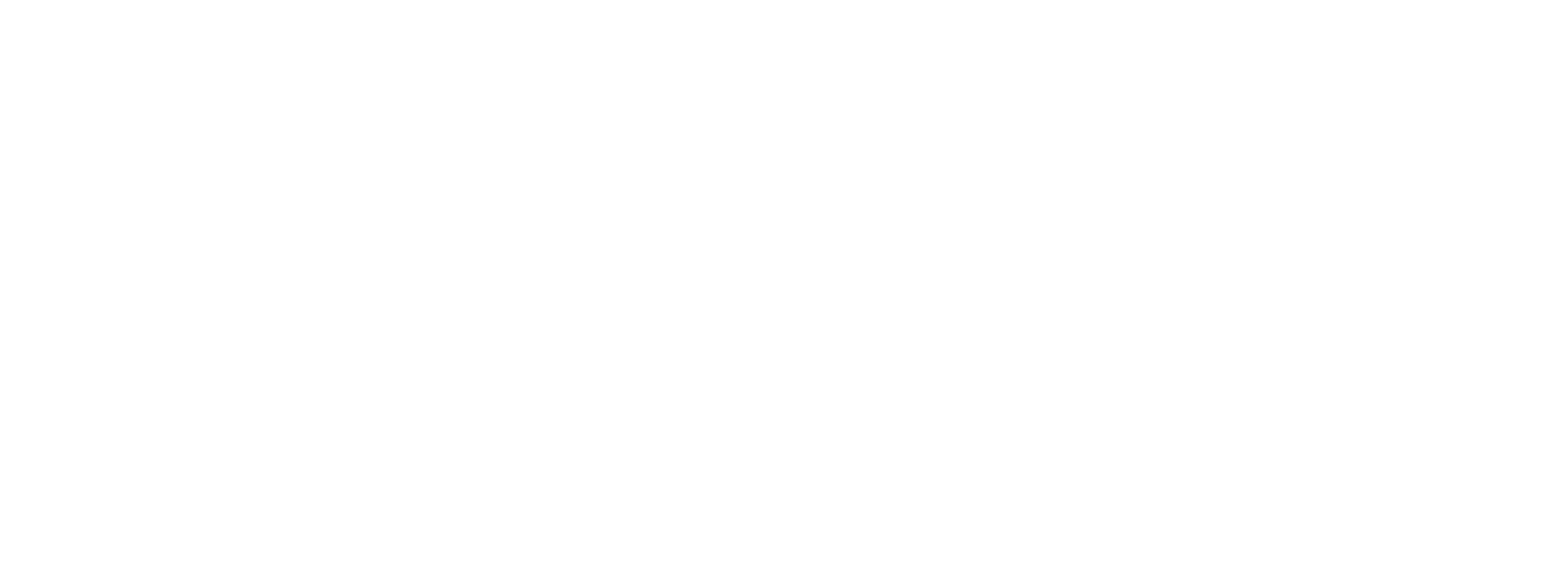Narcog Logo No Tag White